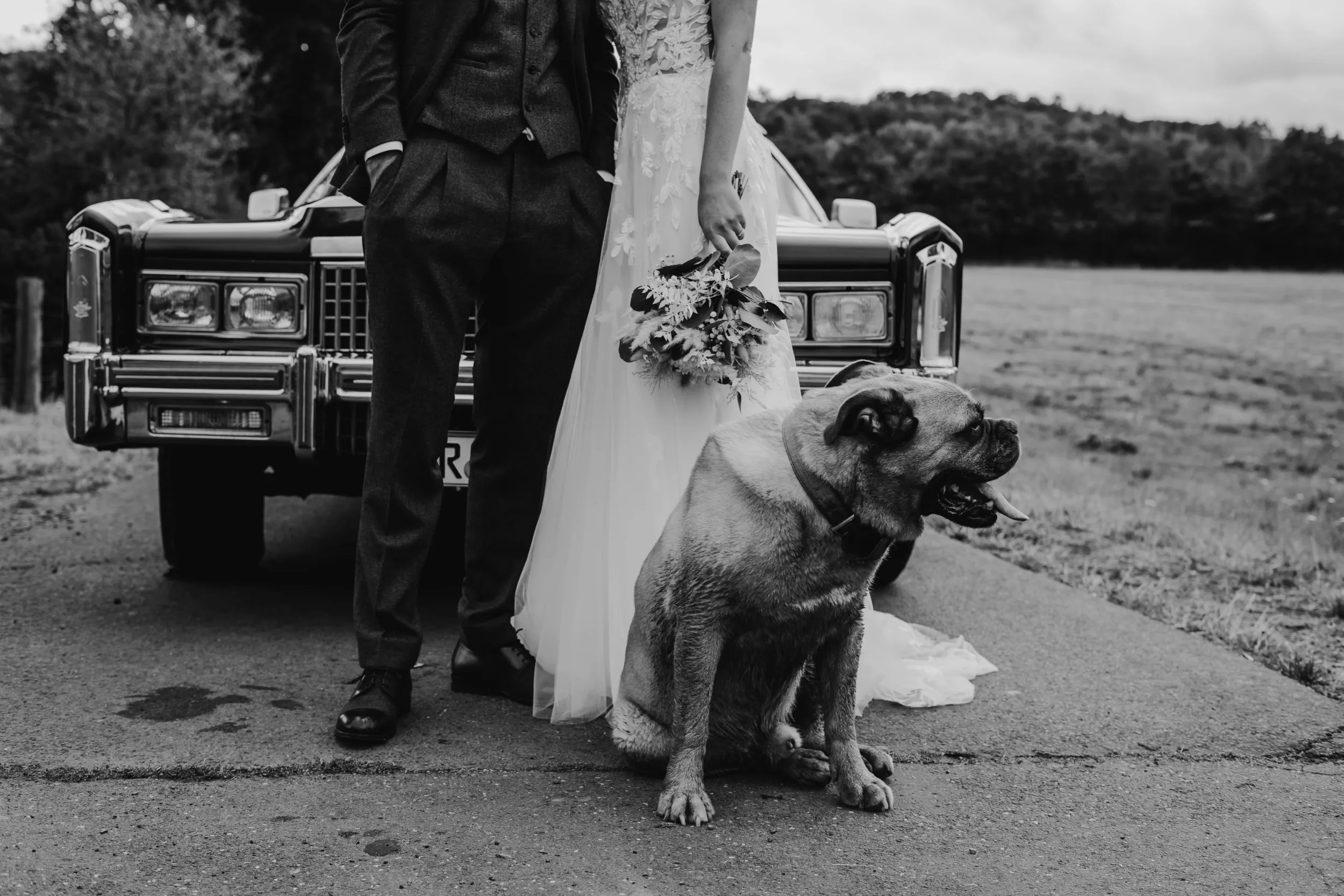 Brautpaar vor Historischem Auto mit ihrem Hund